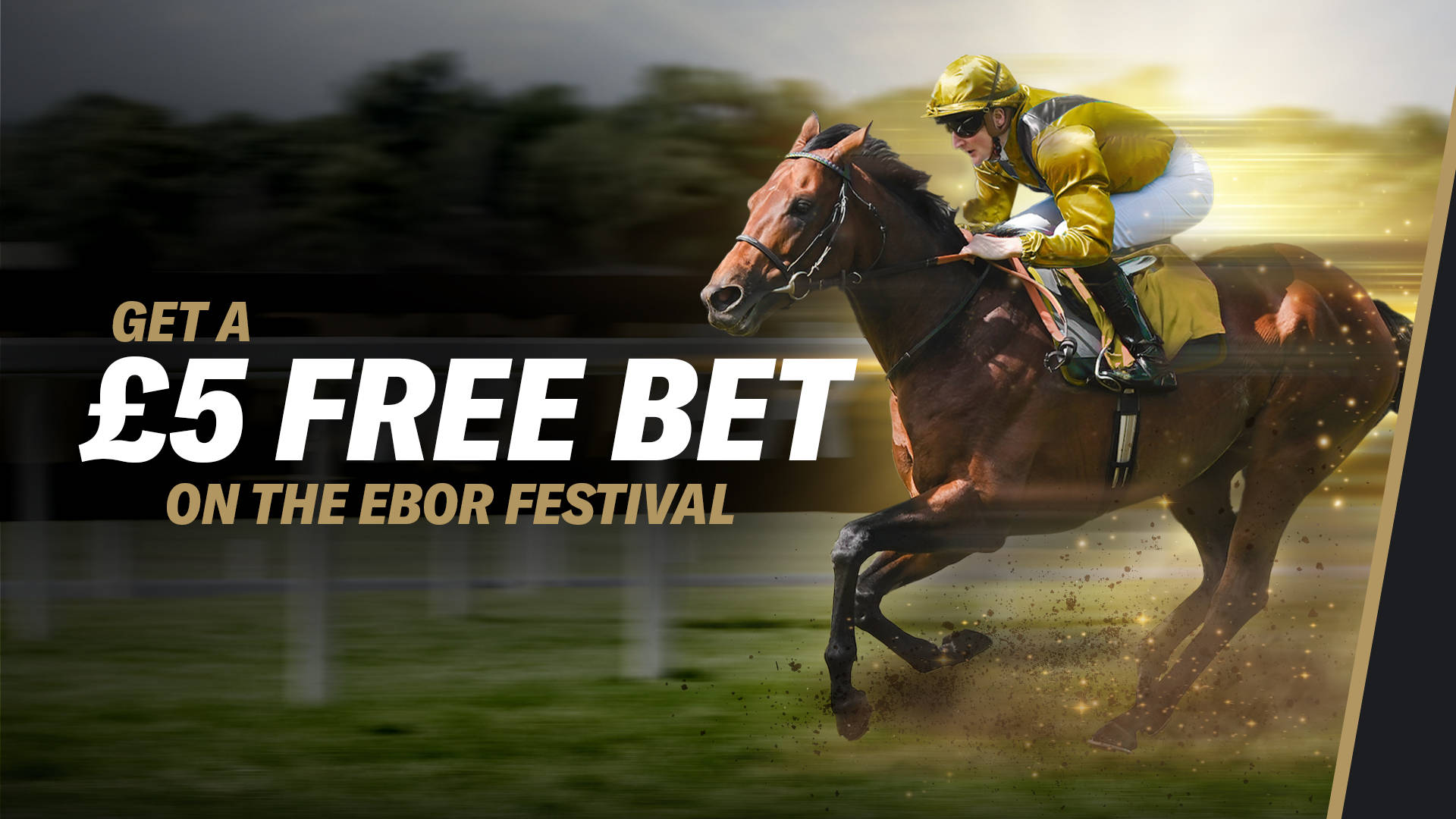 EBOR FESTIVAL OFFER