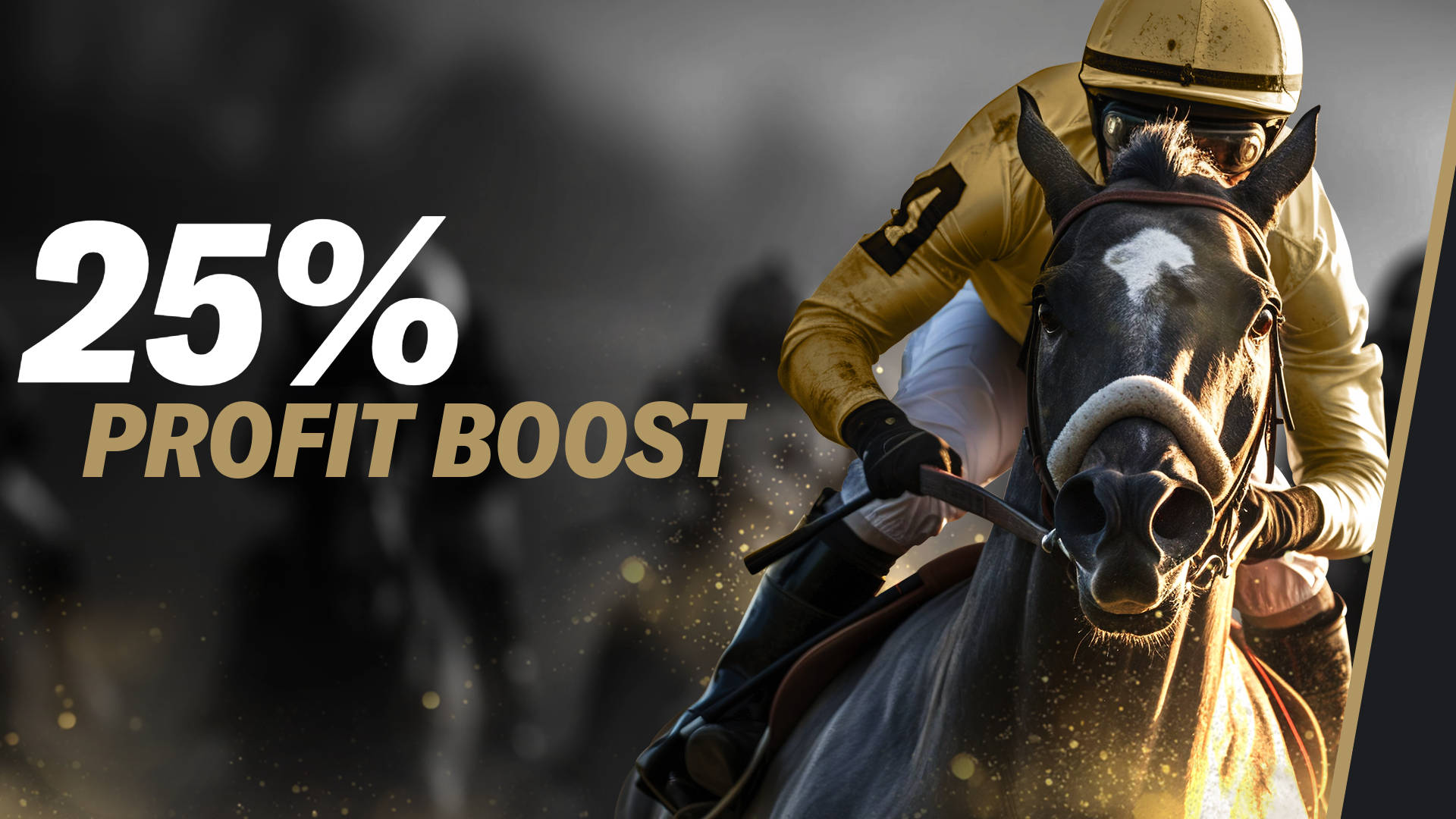 25% Profit Boost