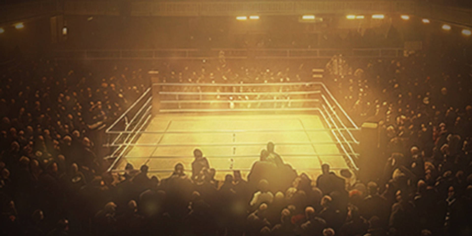 Boxing ring surrounded by a crowd under bright lights.