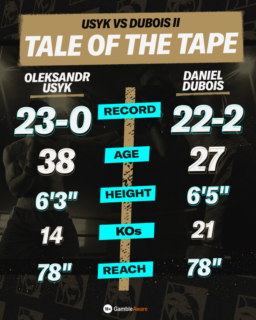 Usyk vs Dubois tale of the tape