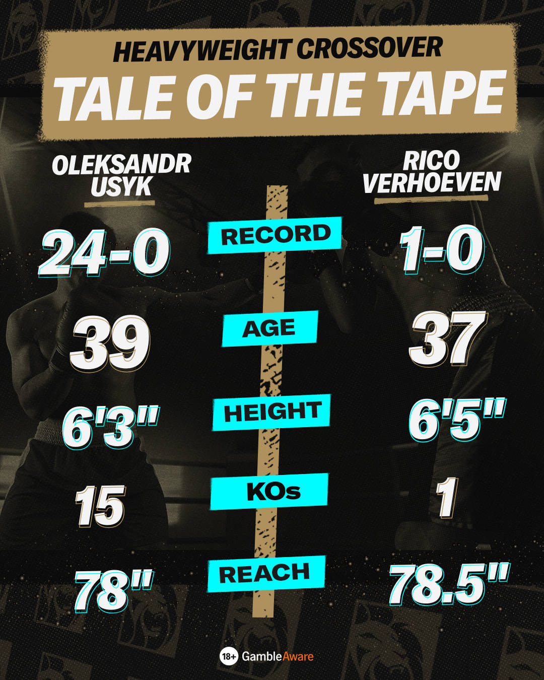 Usyk vs Verhoeven