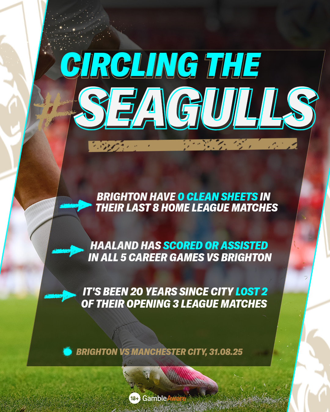 Brighton vs Man City stats