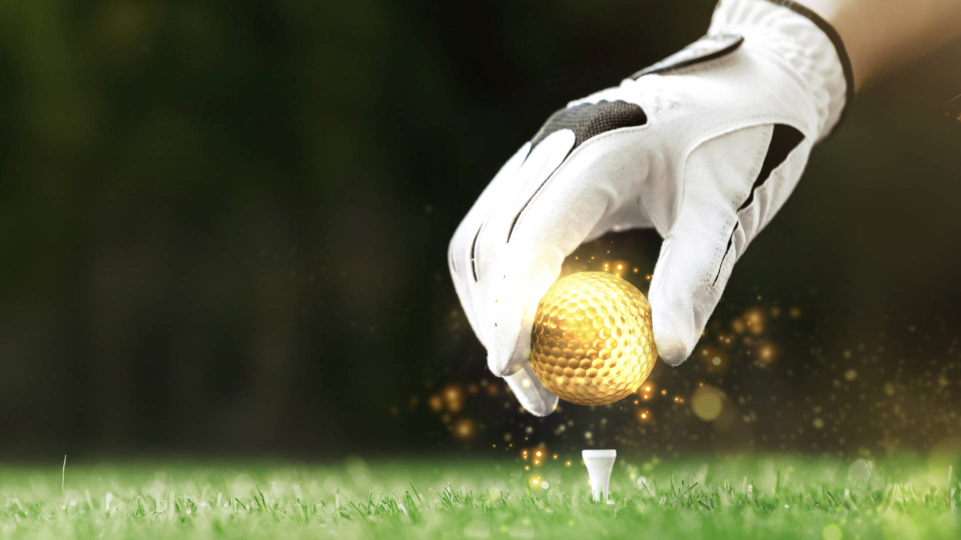 Gold golf ball being placed on a tee