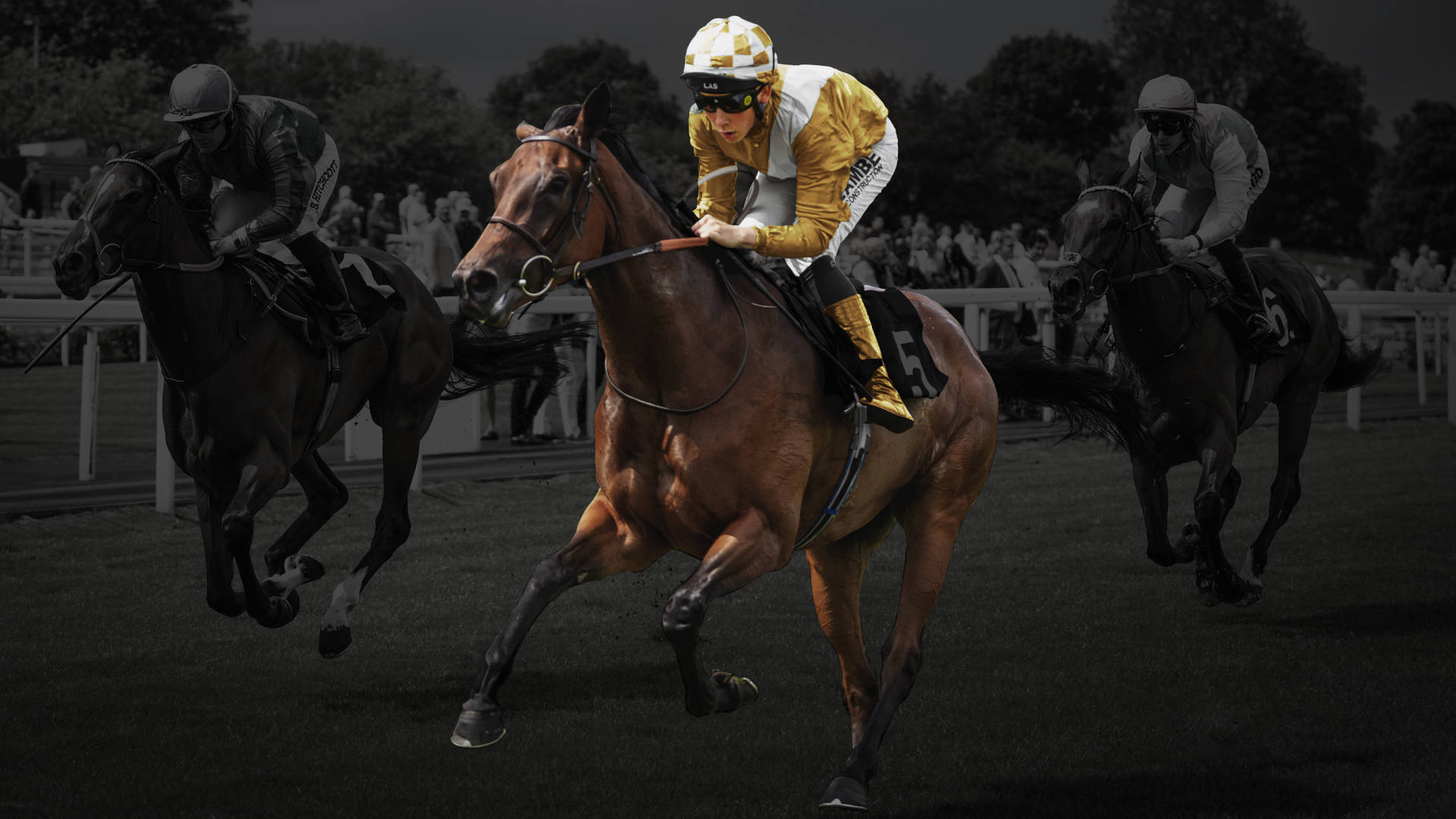 Three jockeys racing horses on a track, with the lead horse in focus.