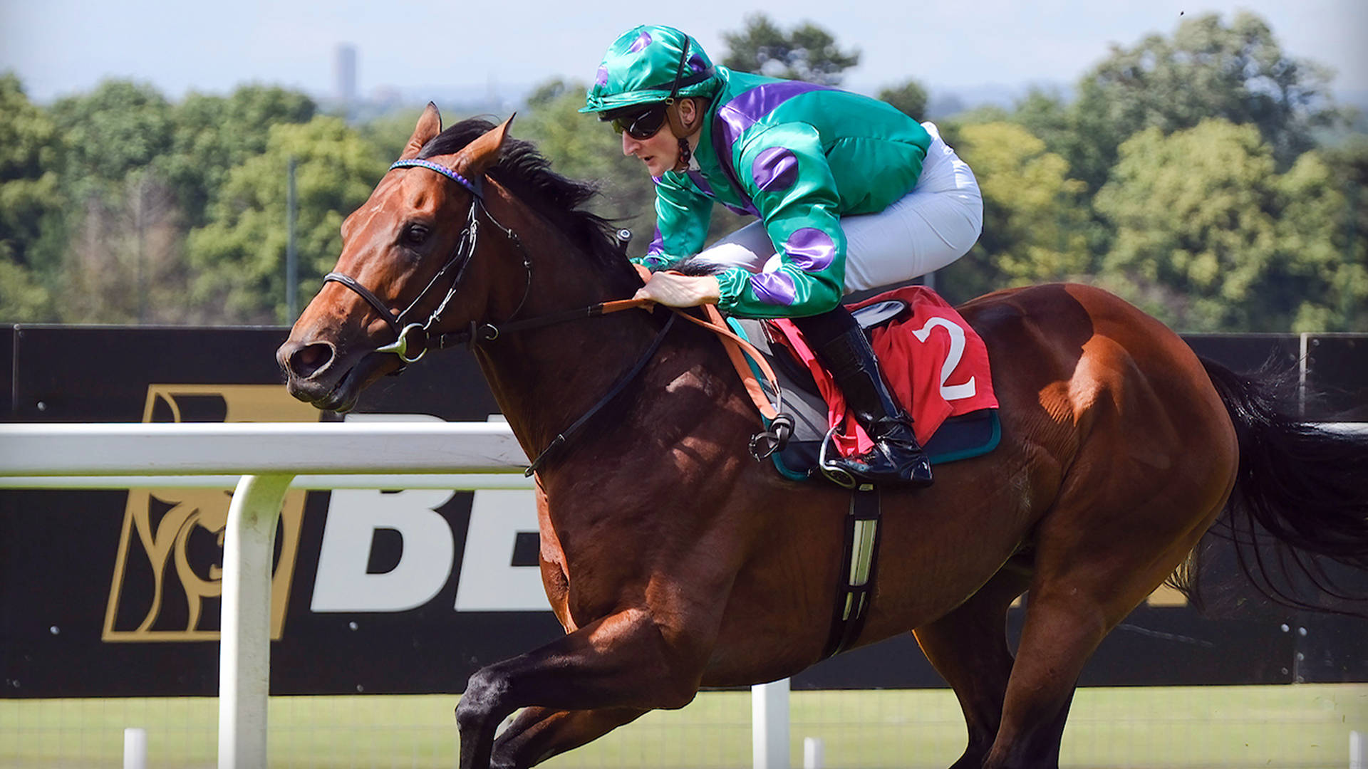 Number 2 horse with jockey racing