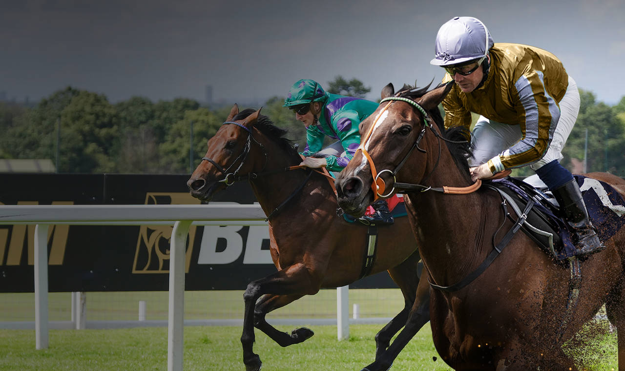 Horses in the middles of a race