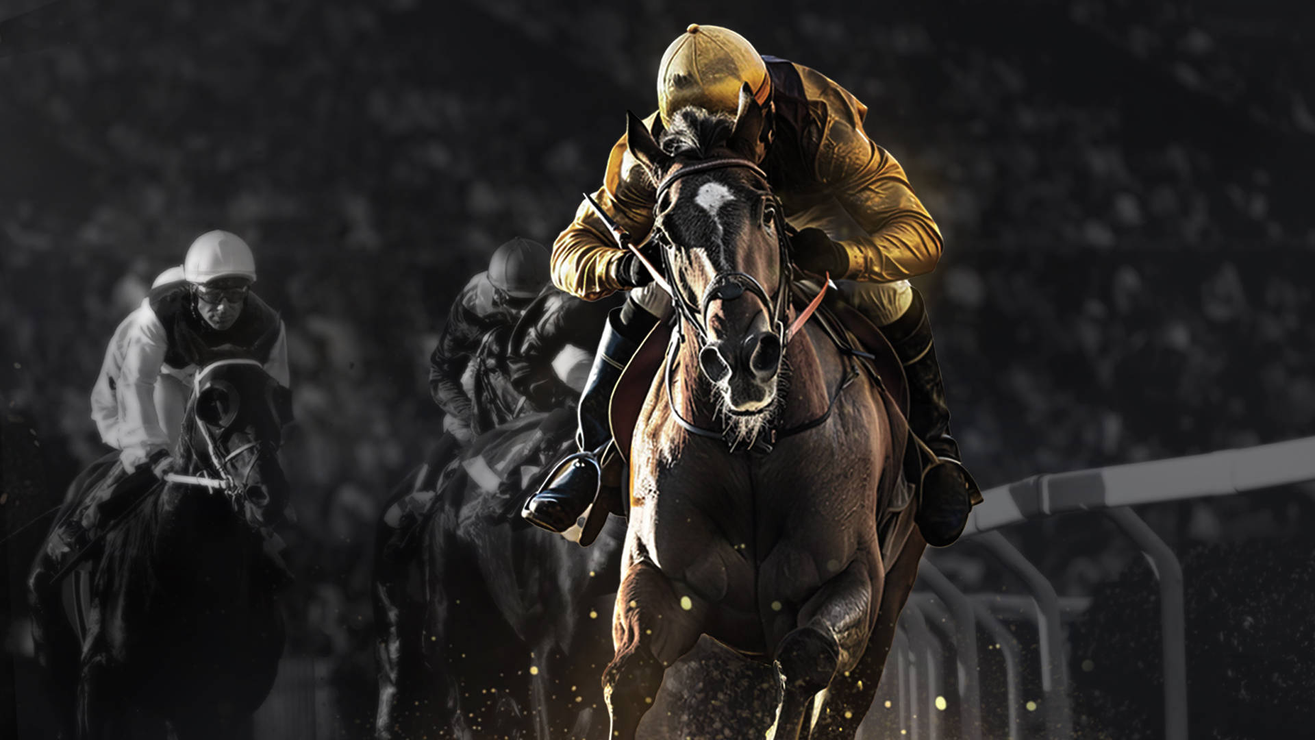 Cheltenham Trials Day