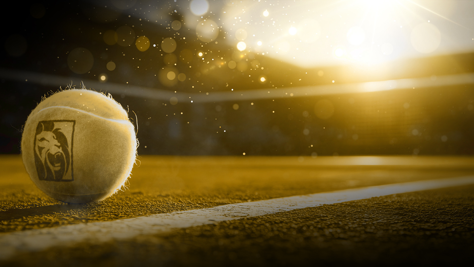 Tennis ball on the court, in front of a net with the sun setting