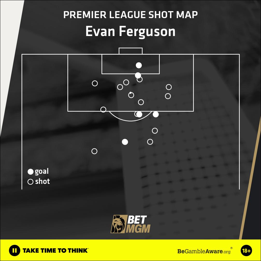 Ferguson shot map