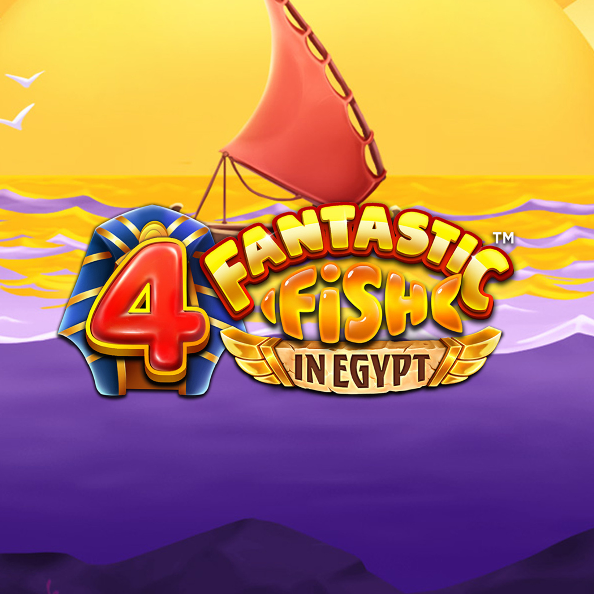 4 Fantastic Fish in Egypt