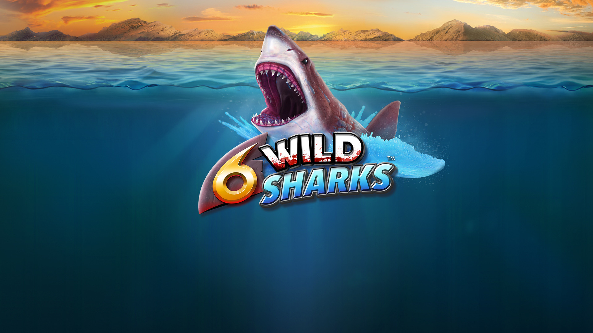 6 Wild Sharks