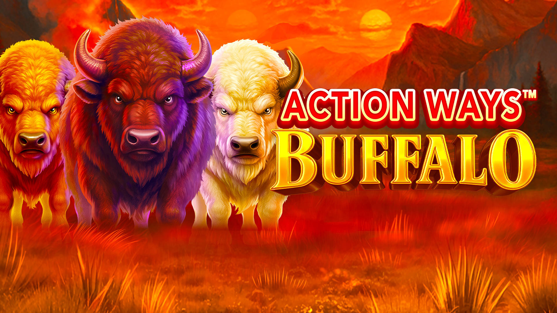Action Ways Buffalo