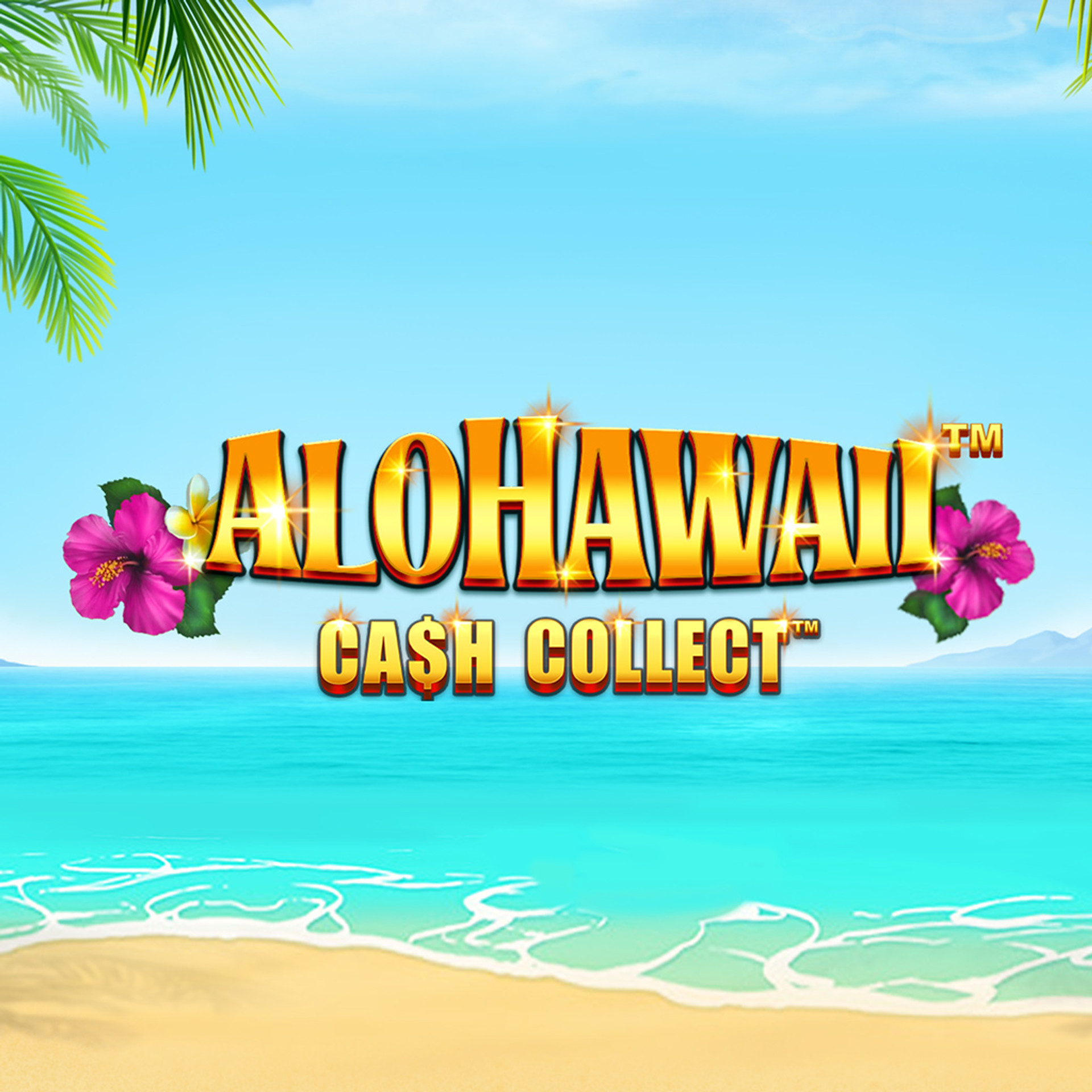 Alohawaii Cash Collect