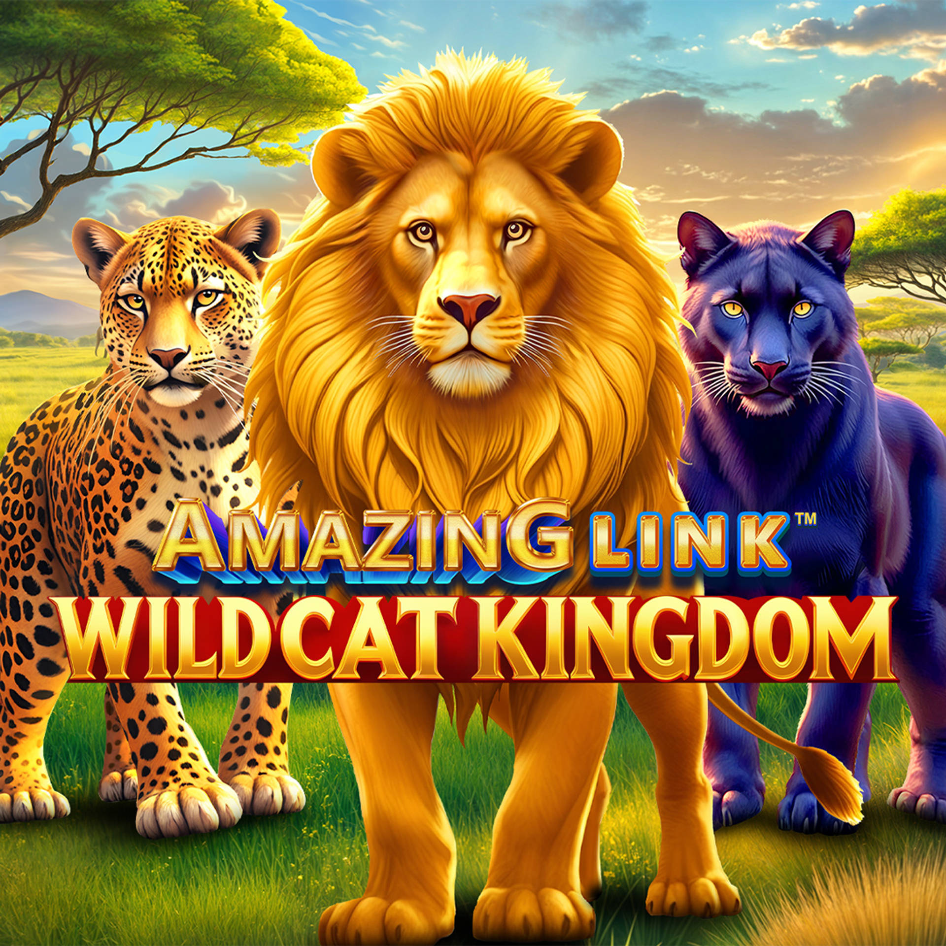 Amazing Link WildCat Kingdom