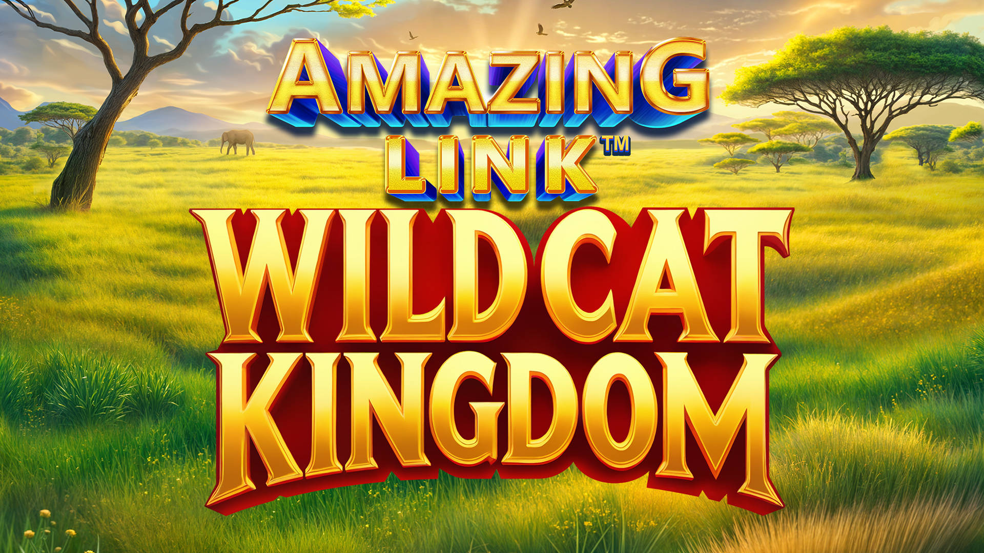 Amazing Link WildCat Kingdom