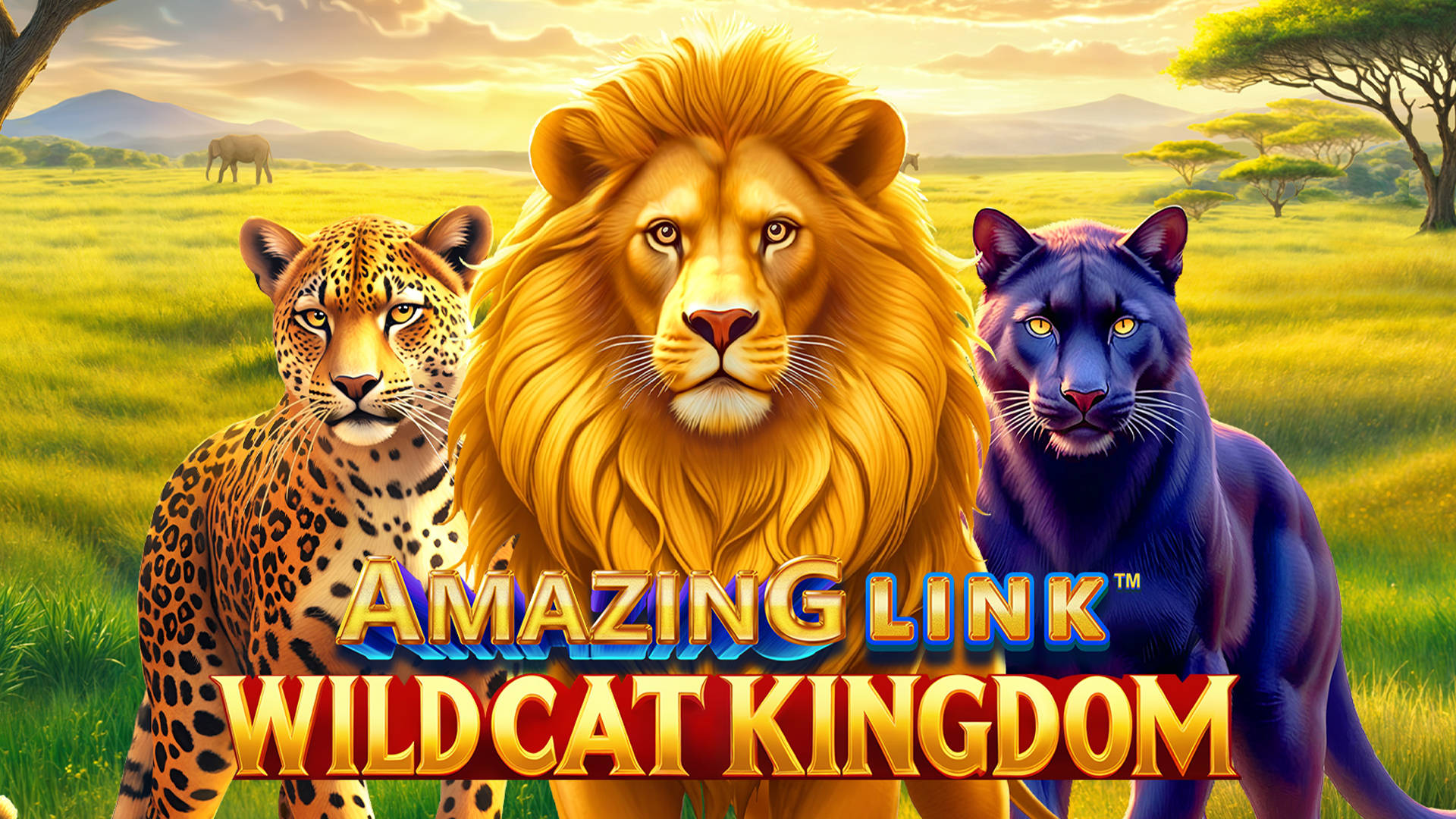 Amazing Link WildCat Kingdom