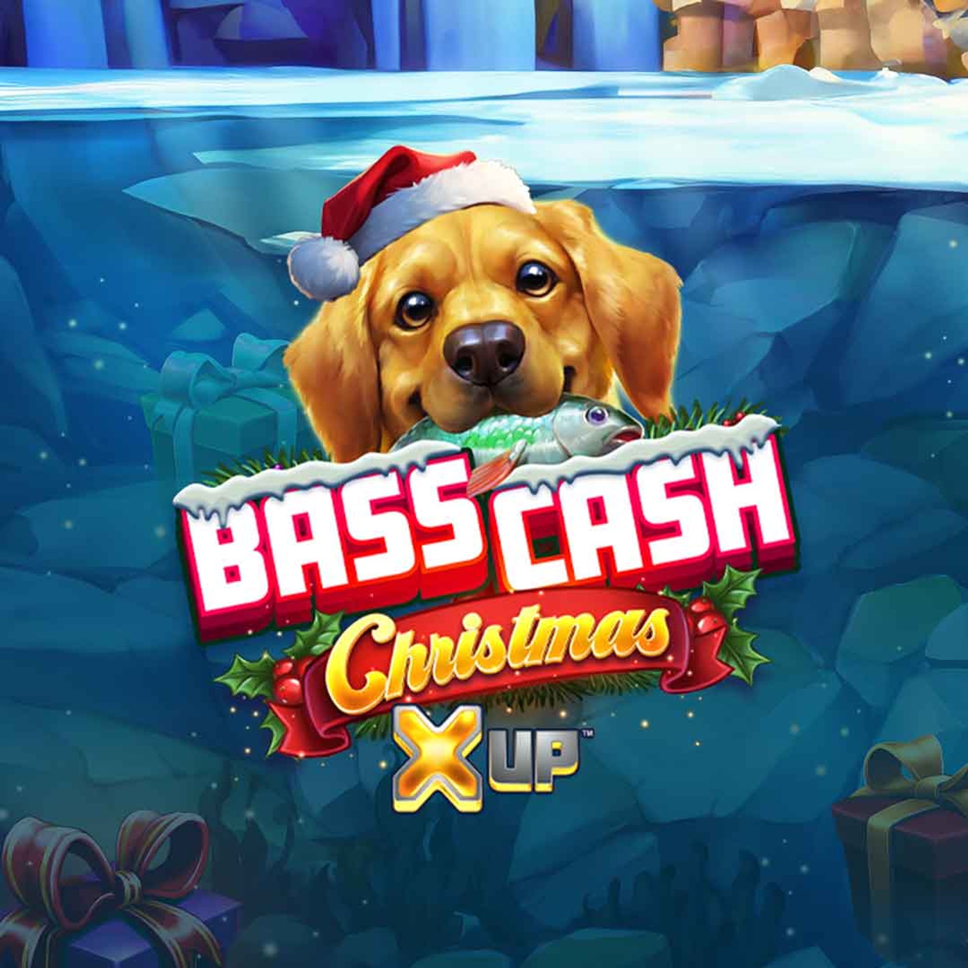 Bass Cash Christmas X UP