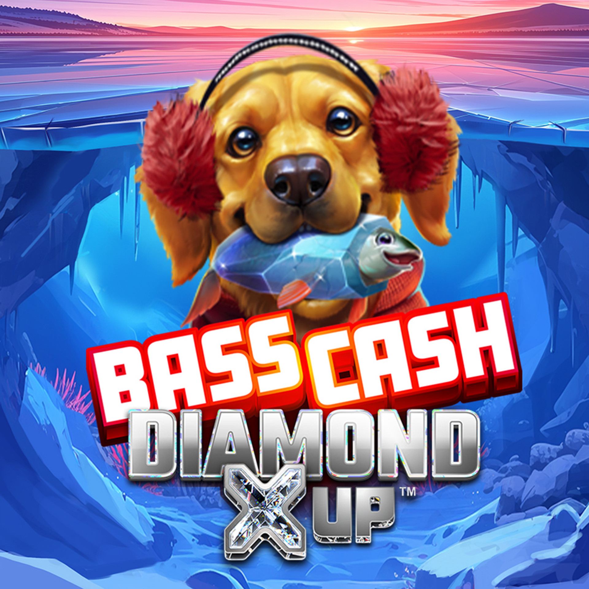 Bass Cash Diamond X UP