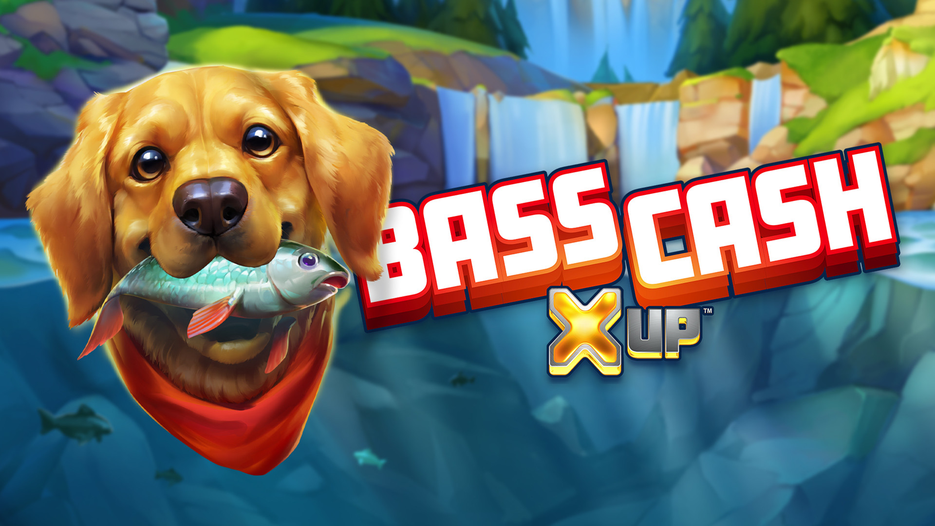 Bass Cash X UP