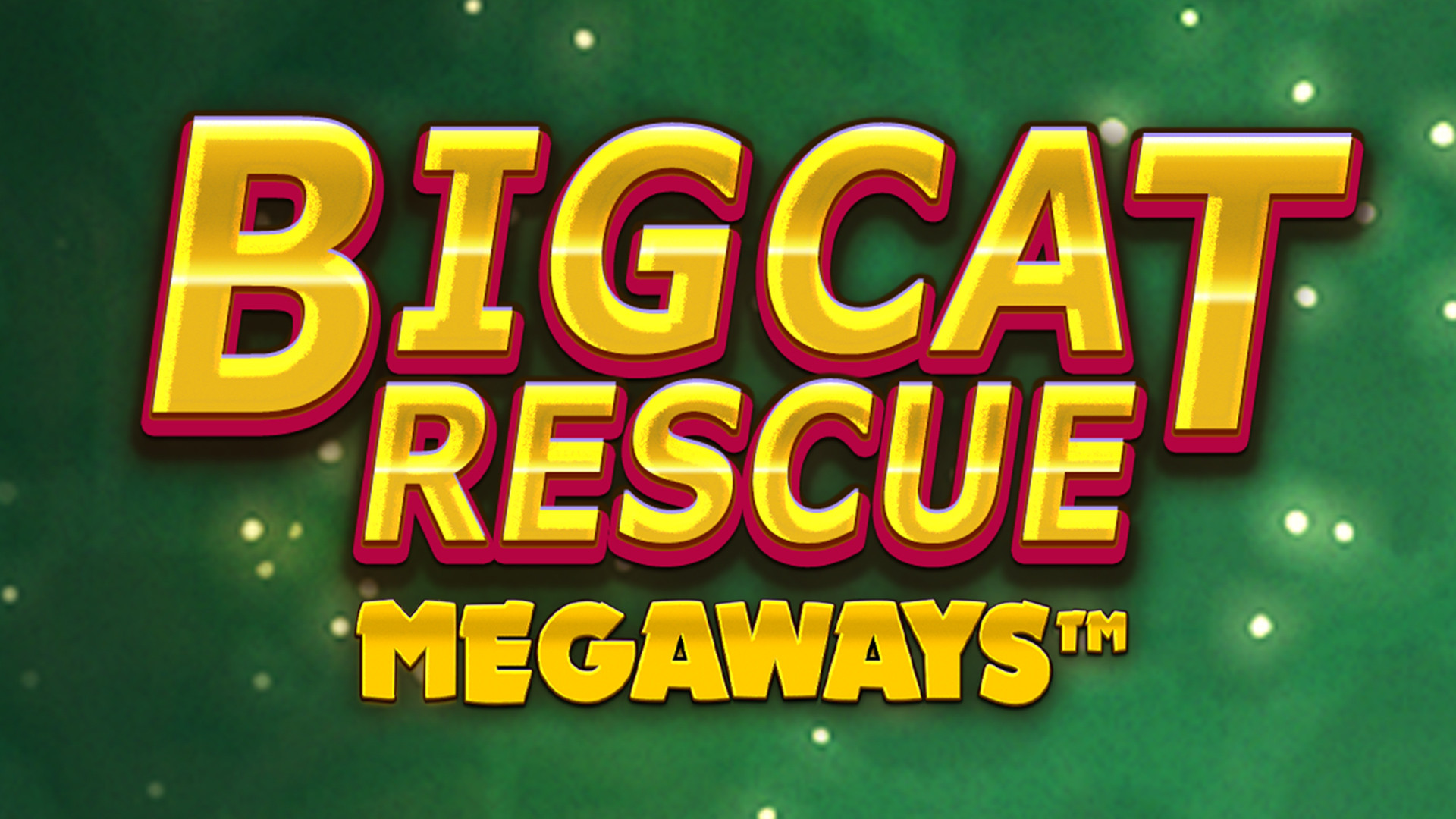 Big Cat Rescue MEGAWAYS