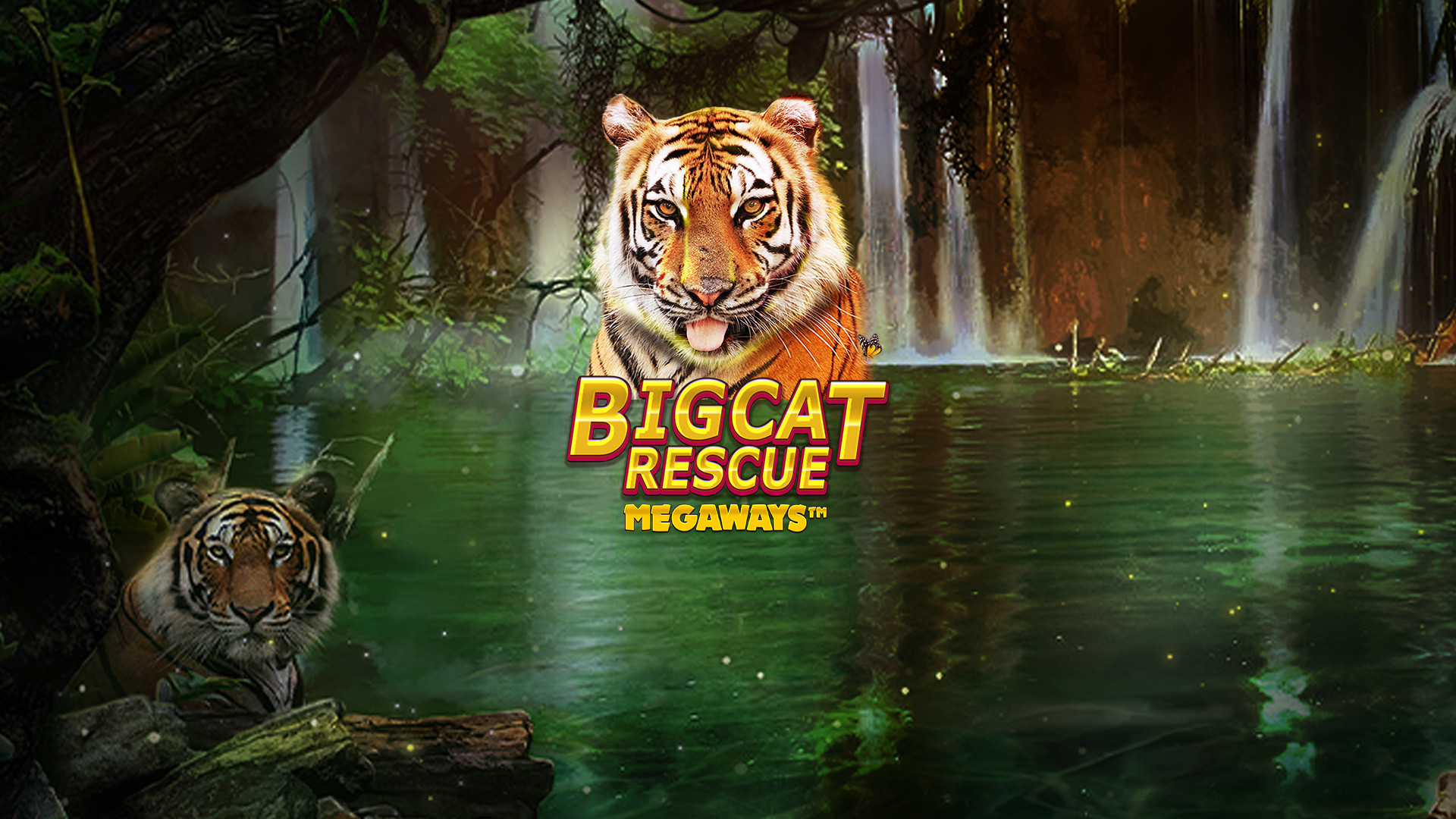 Big Cat Rescue MEGAWAYS