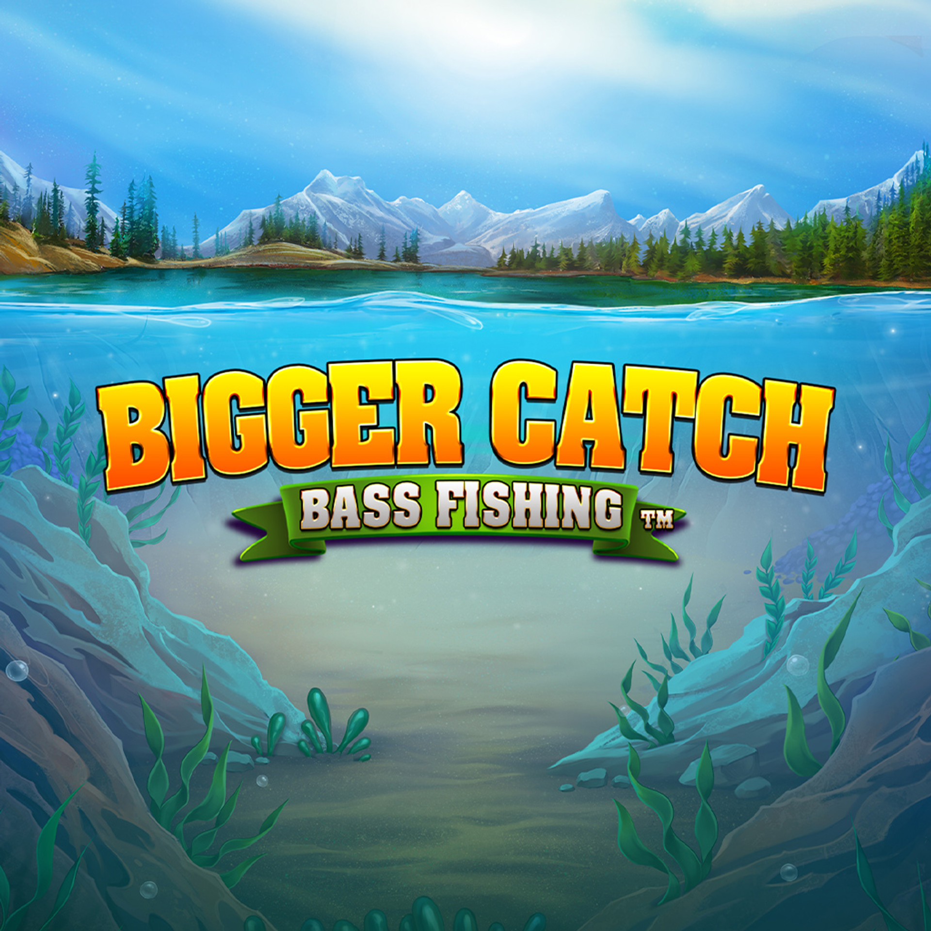 Bigger Catch Bass Fishing