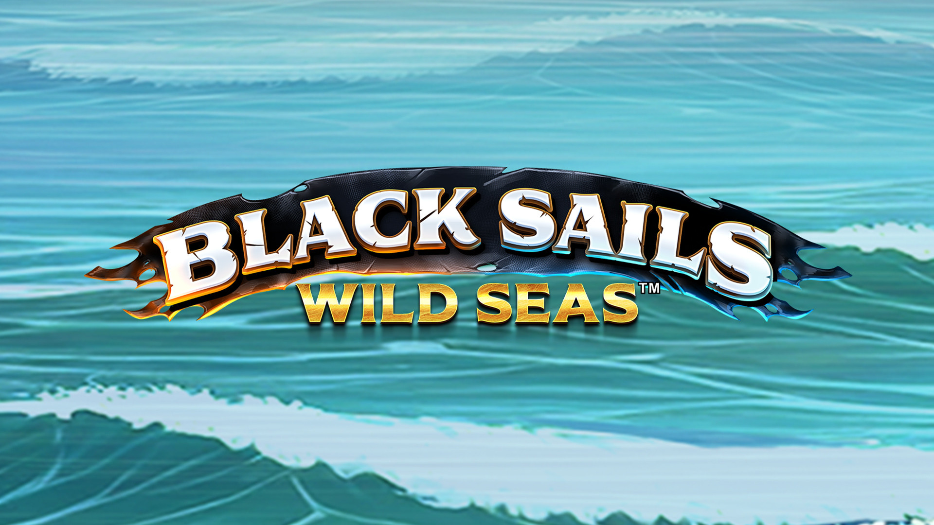 Black Sails Wild Seas