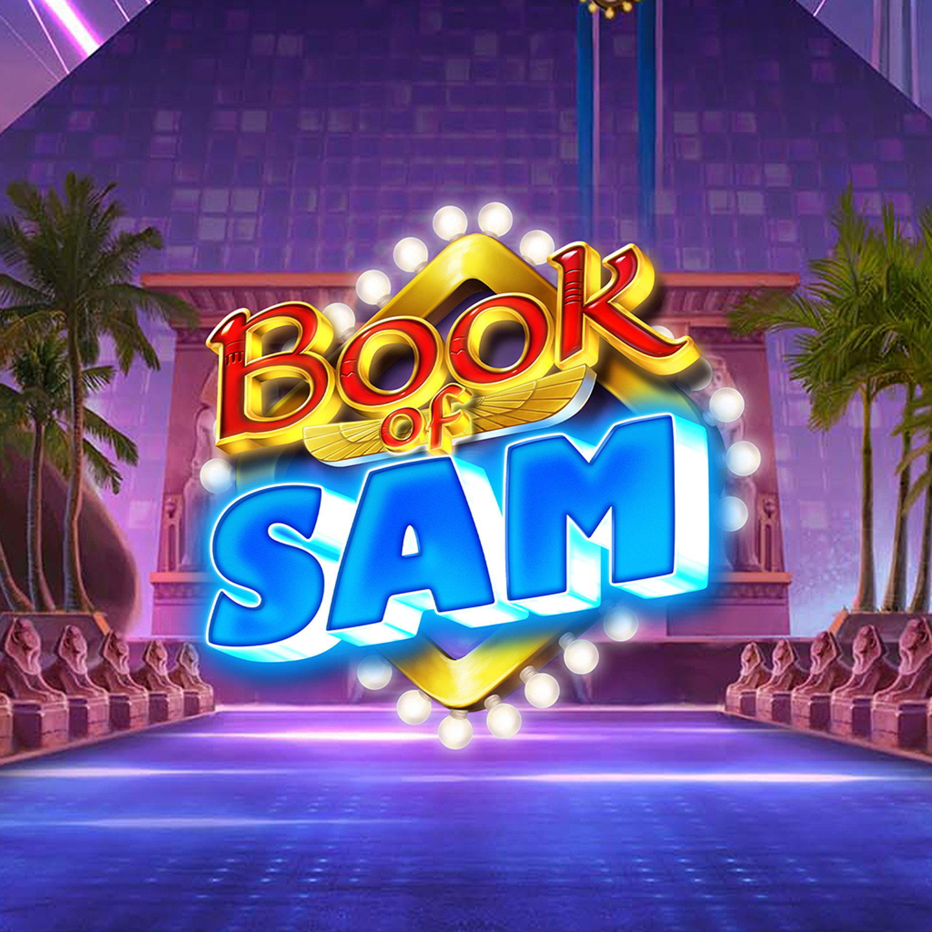 Book of Sam