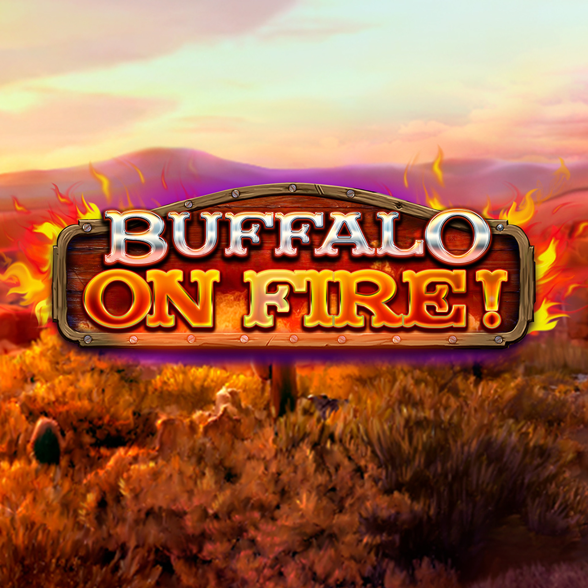 Buffalo on Fire