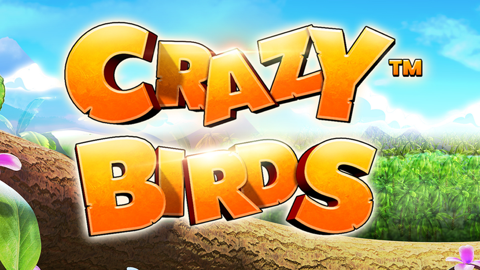 Crazy Birds