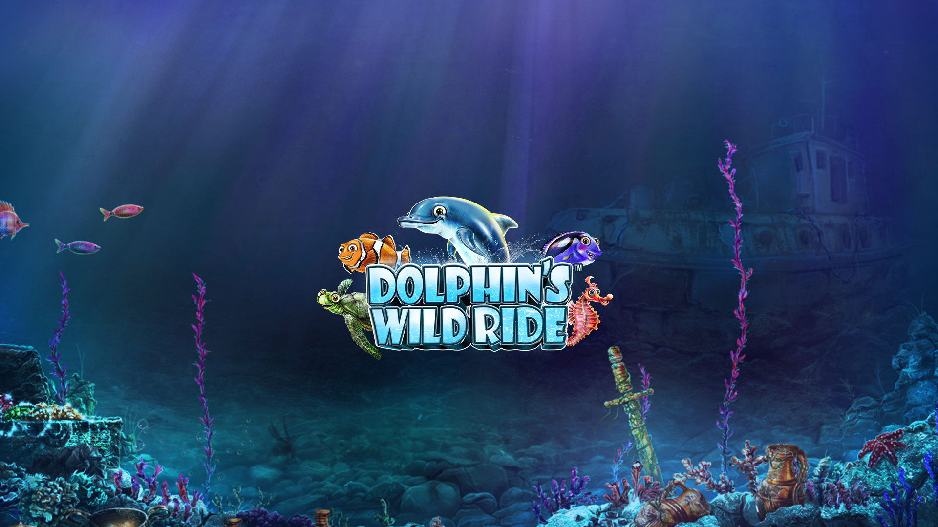 Dolphin's Wild Ride