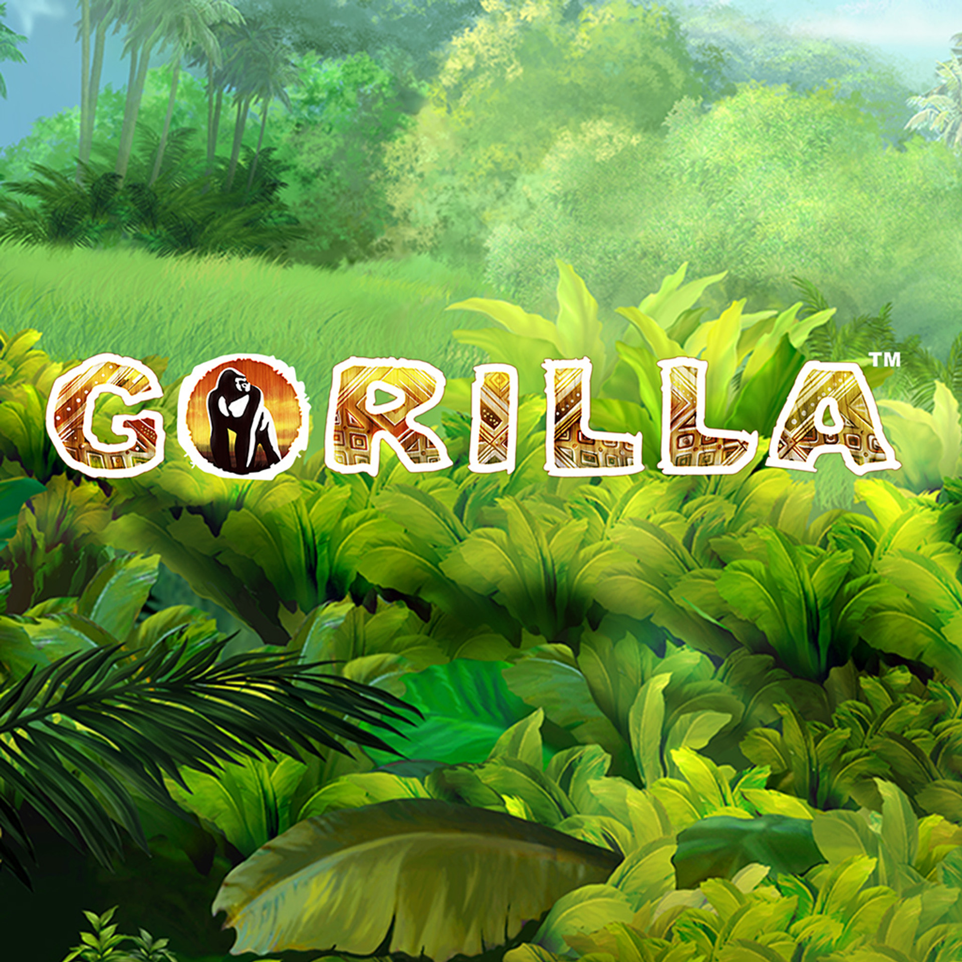 Gorilla