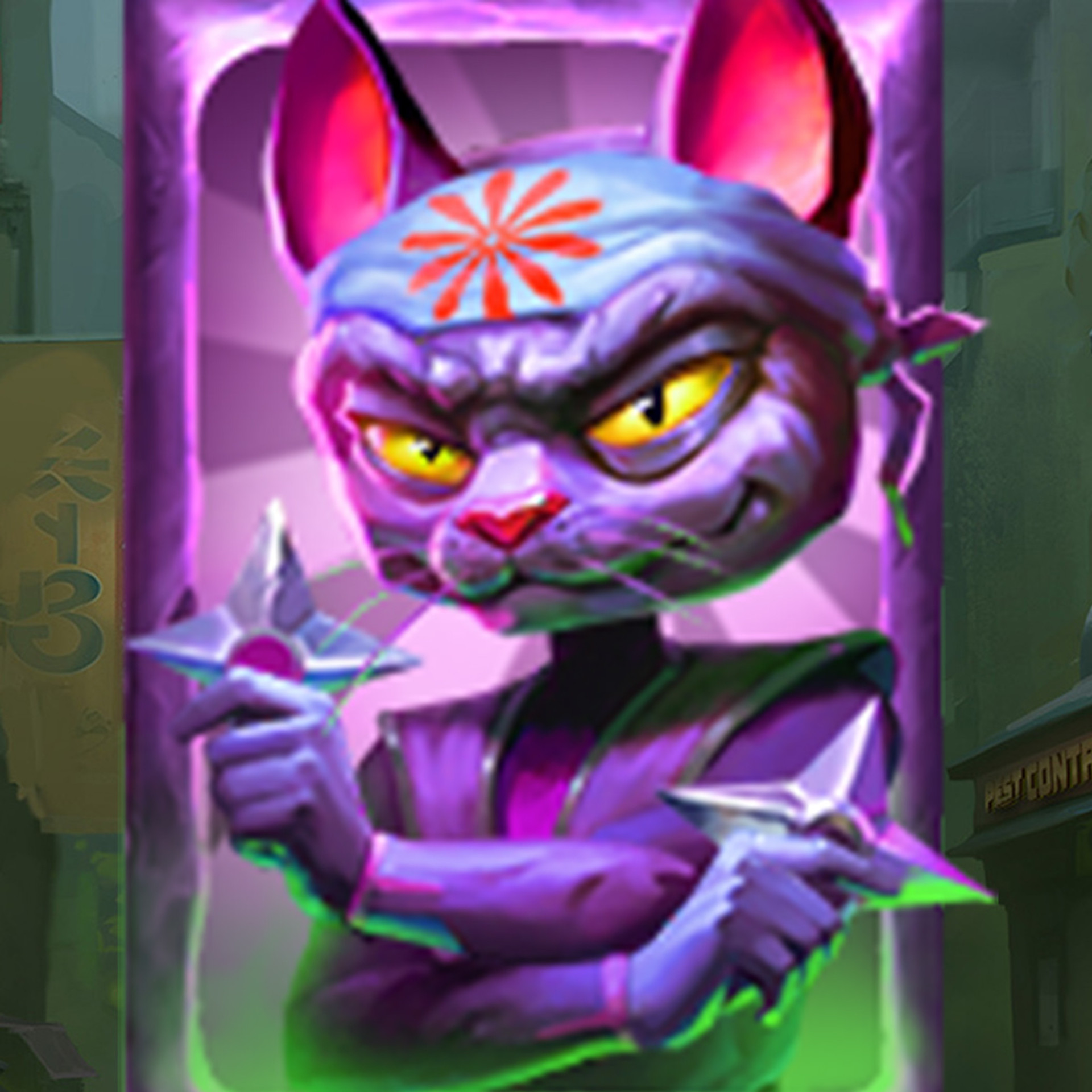 Gritty Kitty