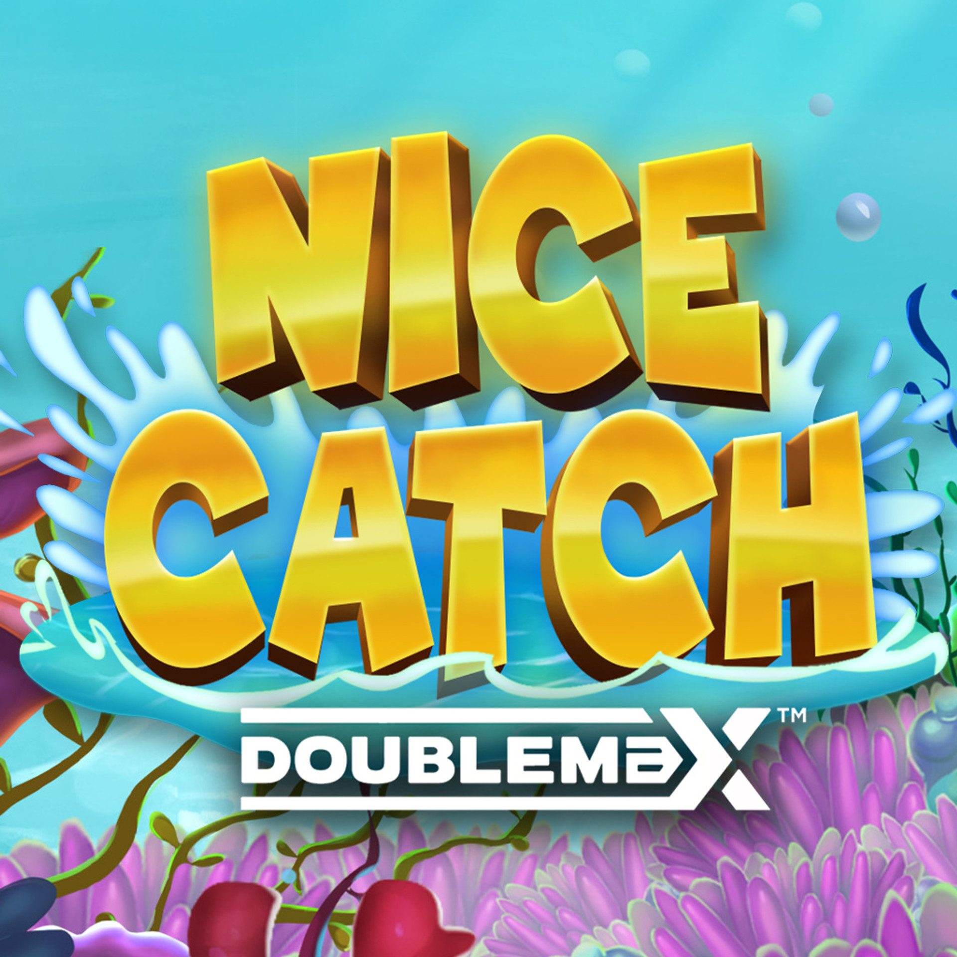 Nice Catch DoubleMax