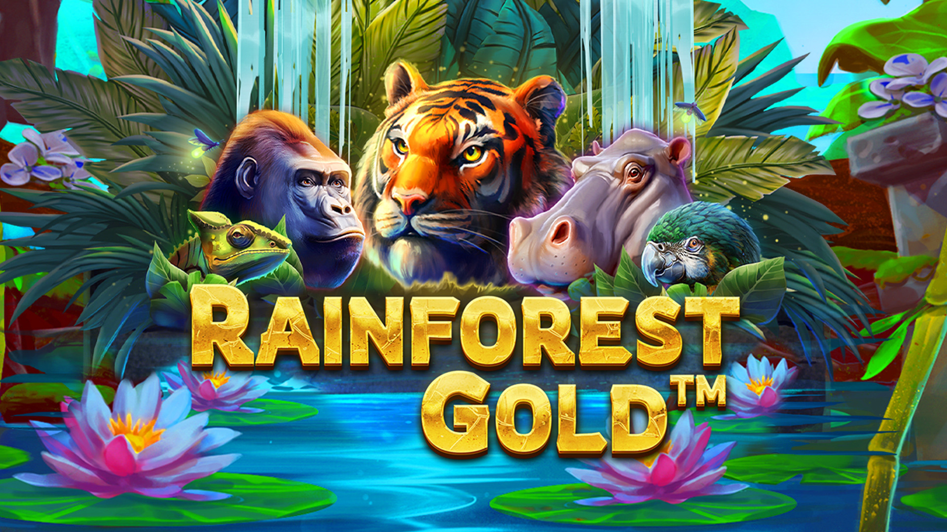 Rainforest Gold