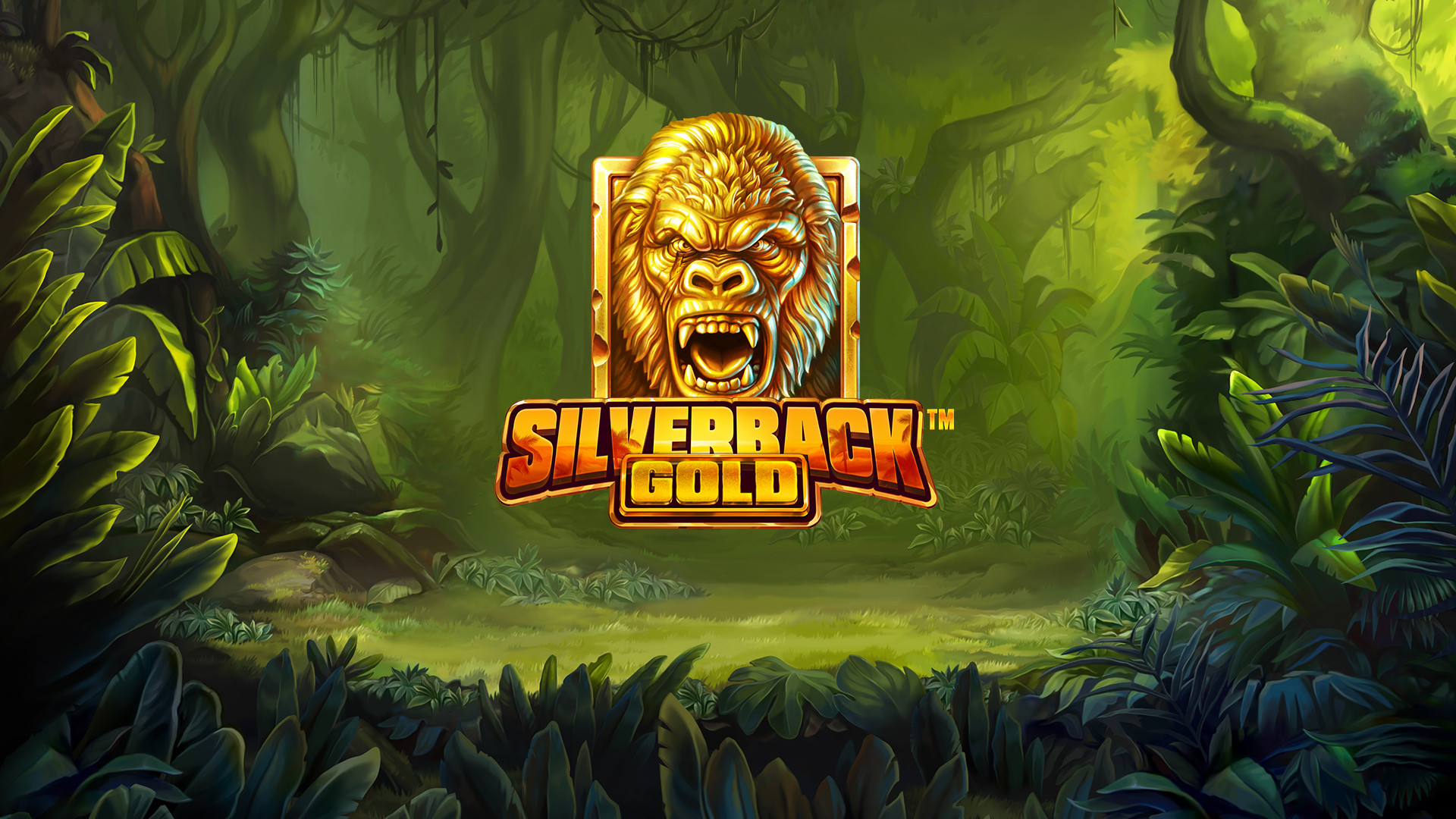 Silverback Gold