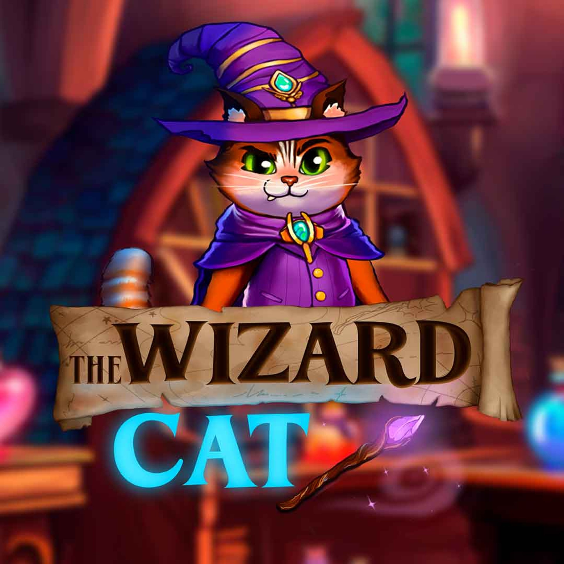 The Cat Wizard