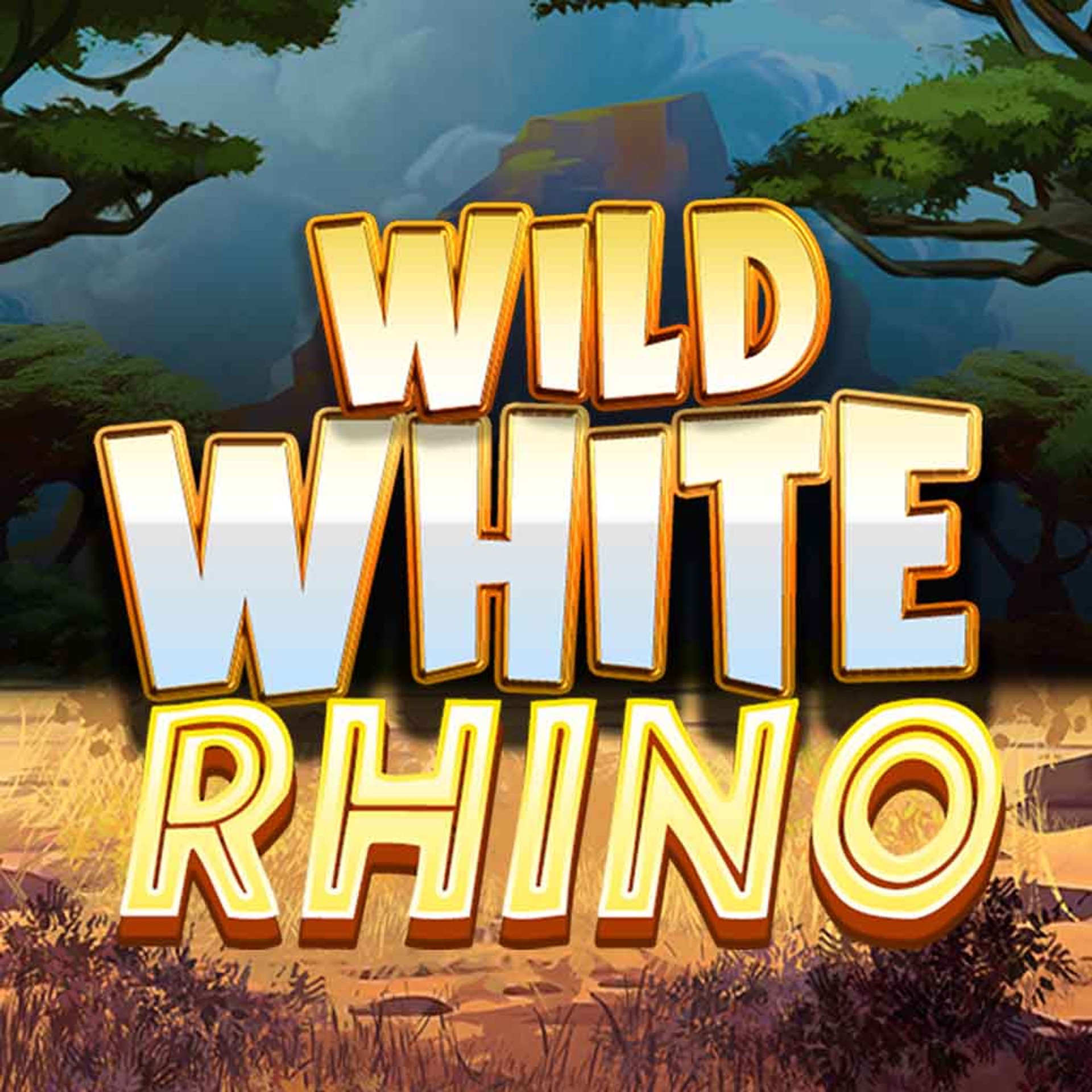 Wild White Rhino